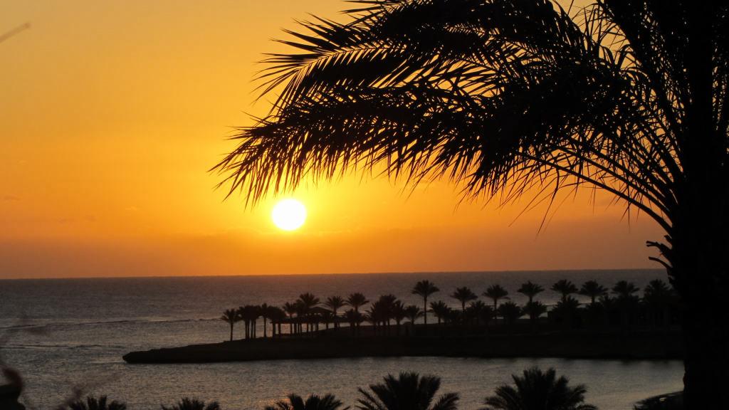 2012_01_�gypten_MarsaAlam_Tauchen_107